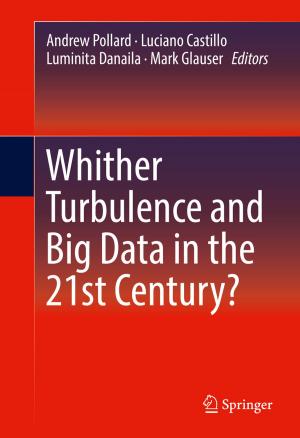 Cover of the book Whither Turbulence and Big Data in the 21st Century? by Michaela Laupheimer