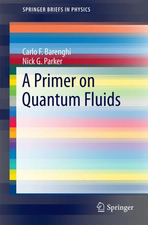 Cover of the book A Primer on Quantum Fluids by Charalambos Panayiotou Charalambous