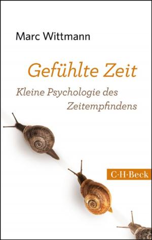Book cover of Gefühlte Zeit