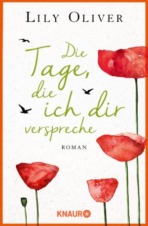 Cover of the book Die Tage, die ich dir verspreche by Peter Wilhelm