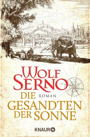 Cover of the book Die Gesandten der Sonne by Bernhard Moestl