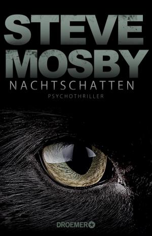 Cover of the book Nachtschatten by Karen Winter