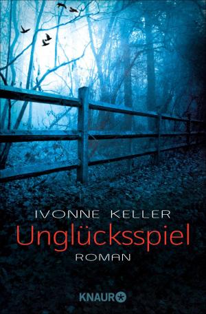 Cover of the book Unglücksspiel by James Scott