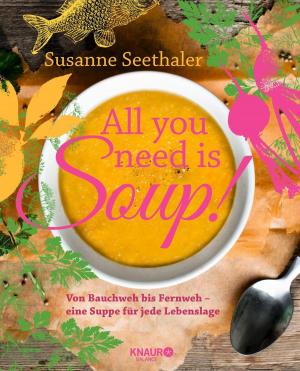Cover of the book All you need is soup by Susanne Seethaler