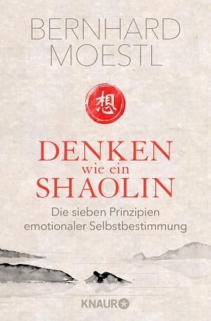 Book cover of Denken wie ein Shaolin