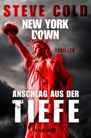 bigCover of the book New York down - Anschlag aus der Tiefe by 