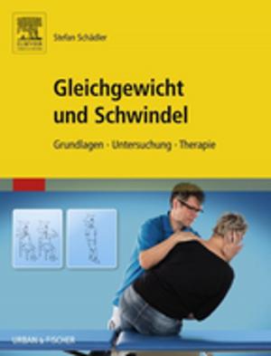 Cover of the book Gleichgewicht und Schwindel by Juergen Braun, Joachim Sieper