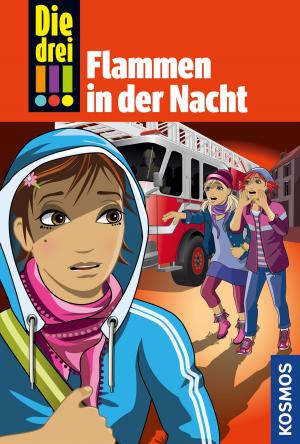Cover of the book Die drei !!!, 63, Flammen in der Nacht (drei Ausrufezeichen) by Maja von Vogel