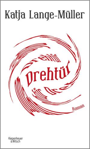 Cover of the book Drehtür by Kathrin Schmidt