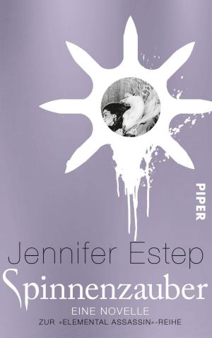 Cover of the book Spinnenzauber by Erika Bestenreiner