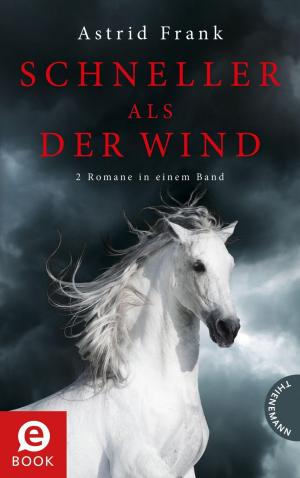 Cover of the book Schneller als der Wind by Kristen DaRay