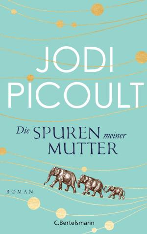 Cover of the book Die Spuren meiner Mutter by Robin Rinaldi