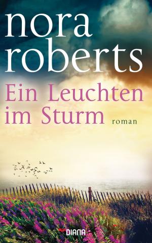 Cover of Ein Leuchten im Sturm