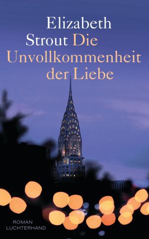 Cover of the book Die Unvollkommenheit der Liebe by Peter Richter