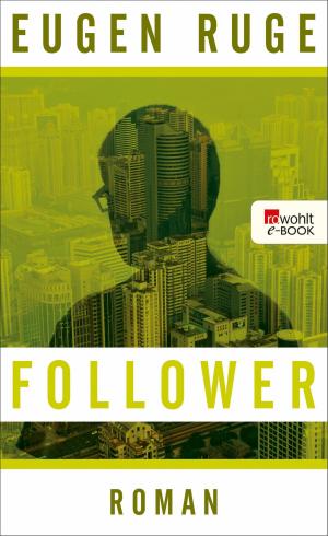 Cover of the book Follower by Vladimir Nabokov