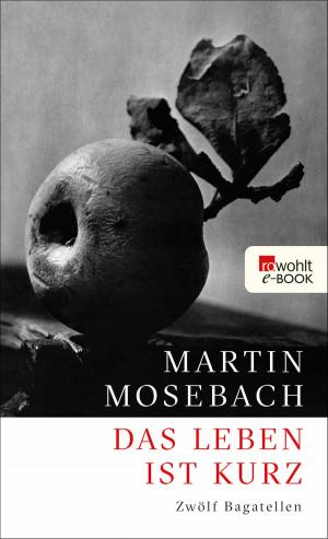 Cover of the book Das Leben ist kurz by Janne Mommsen