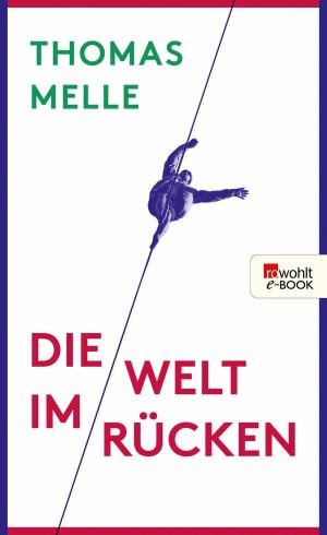 Cover of the book Die Welt im Rücken by Uli Franz