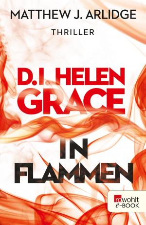 Cover of the book D.I. Helen Grace: In Flammen by Harald Steffahn
