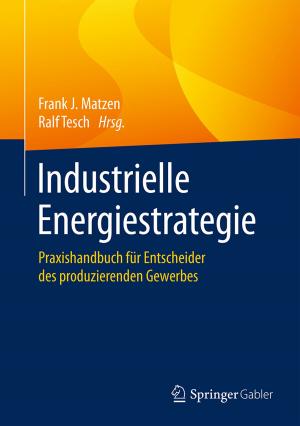 Cover of the book Industrielle Energiestrategie by Andriy Luntovskyy, Josef Spillner