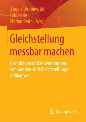 Cover of the book Gleichstellung messbar machen by Daniel Schäfer
