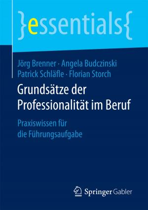 Cover of the book Grundsätze der Professionalität im Beruf by Ralf Stegmann, Peter Loos, Ute B. Schröder