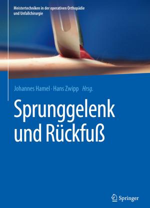 Cover of the book Sprunggelenk und Rückfuß by Karen Ramer, Abass Alavi