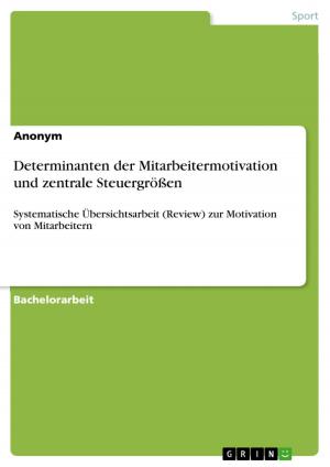 Cover of the book Determinanten der Mitarbeitermotivation und zentrale Steuergrößen by Johannes Stockerl