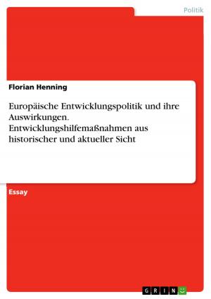 Cover of the book Europäische Entwicklungspolitik und ihre Auswirkungen. Entwicklungshilfemaßnahmen aus historischer und aktueller Sicht by David Jensen
