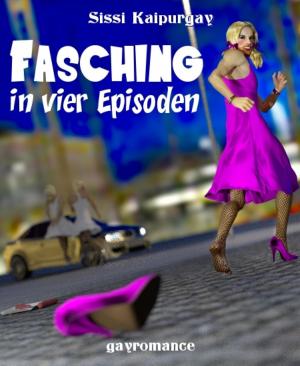 Cover of the book Fasching by Stefan Wollschläger