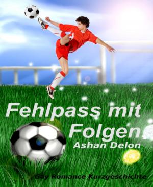 Cover of the book Fehlpass mit Folgen by Jan Gardemann