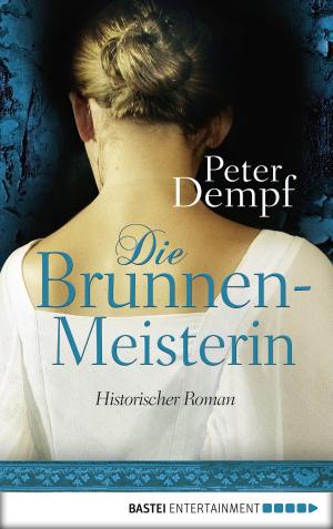 Book cover of Die Brunnenmeisterin