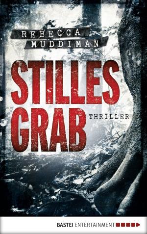 Cover of the book Stilles Grab by Stephanie Seidel