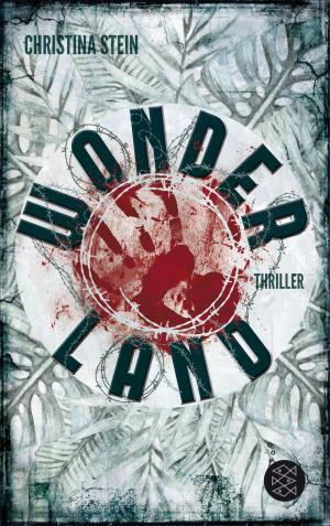 Cover of the book Wonderland by Janet Foxley