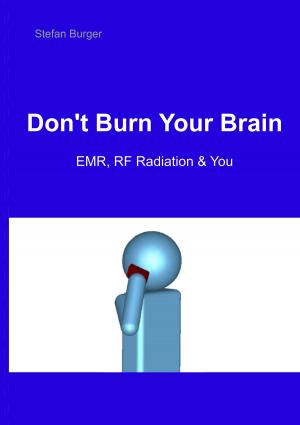 Cover of the book Don't Burn Your Brain by Jörg Becker