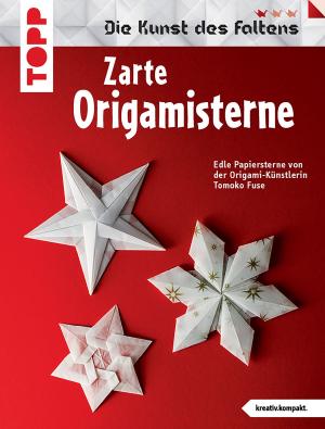 Book cover of Zarte Origami-Sterne