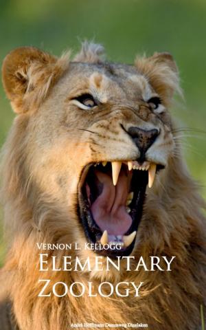 Cover of the book Elementary Zoology by James Oliver Curwood