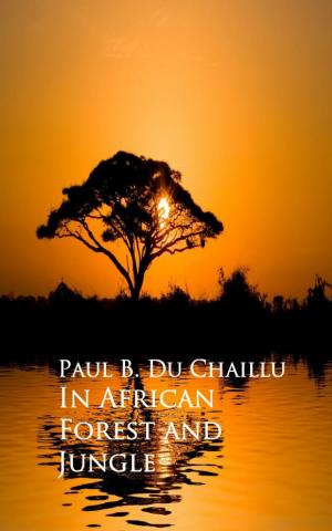 Book cover of In African Forest and Jungle