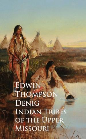 Cover of the book Indian Tribes of the Upper Missouri by Tighe Hopkins