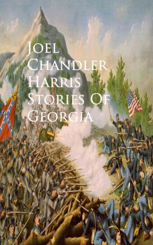 Cover of the book Stories Of Georgia by Various
