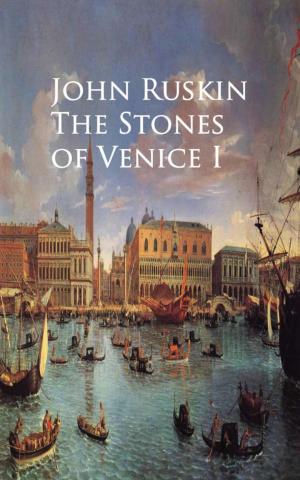 bigCover of the book The Stones of Venice I by 