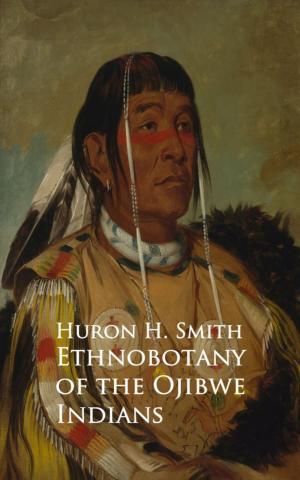 bigCover of the book Ethnobotany of the Ojibwe Indians by 