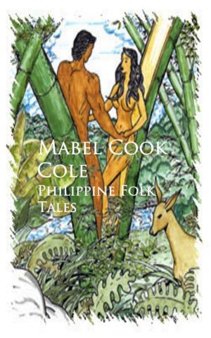 Cover of the book Philippine Folk Tales by Edward J. O'Brien