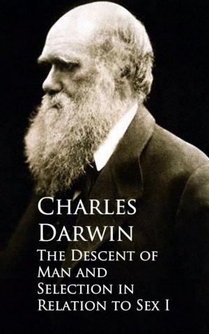 Cover of the book The Descent of Man and Selection in Relation to Sex by John Ruskin