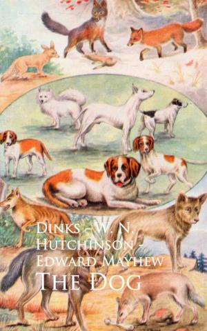Cover of the book The Dog - Dinks by Lesley Donaldson