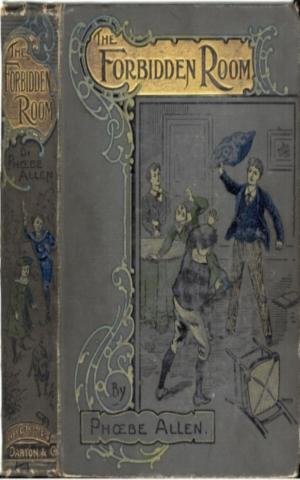 Cover of the book The Forbidden Room by Napier Shelton