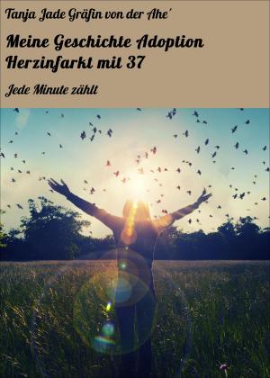 Book cover of Meine Geschichte Adoption Herzinfarkt mit 37