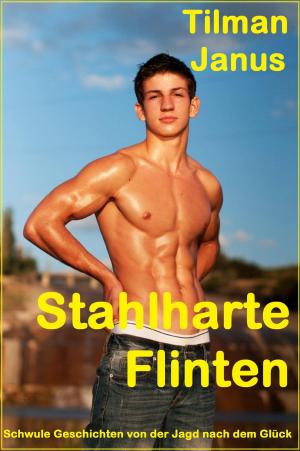 Cover of the book Stahlharte Flinten by Werner Vogel