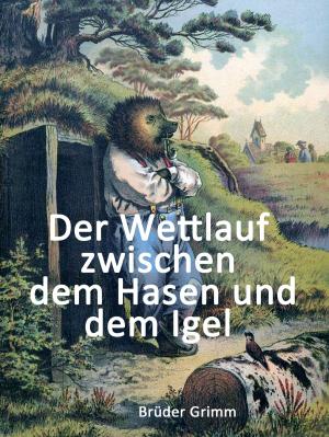bigCover of the book Der Wettlauf zwischen dem Hasen und dem Igel by 