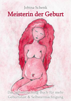 Cover of the book Meisterin der Geburt by Dirk Gasser