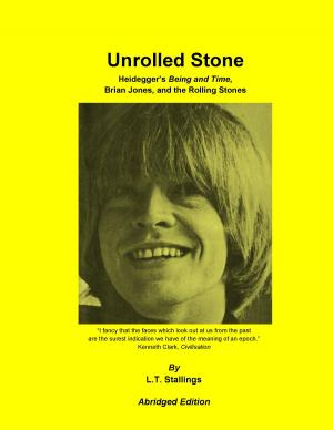 Cover of the book Unrolled Stone - Abridged Edition by Conny Mi (Nel)